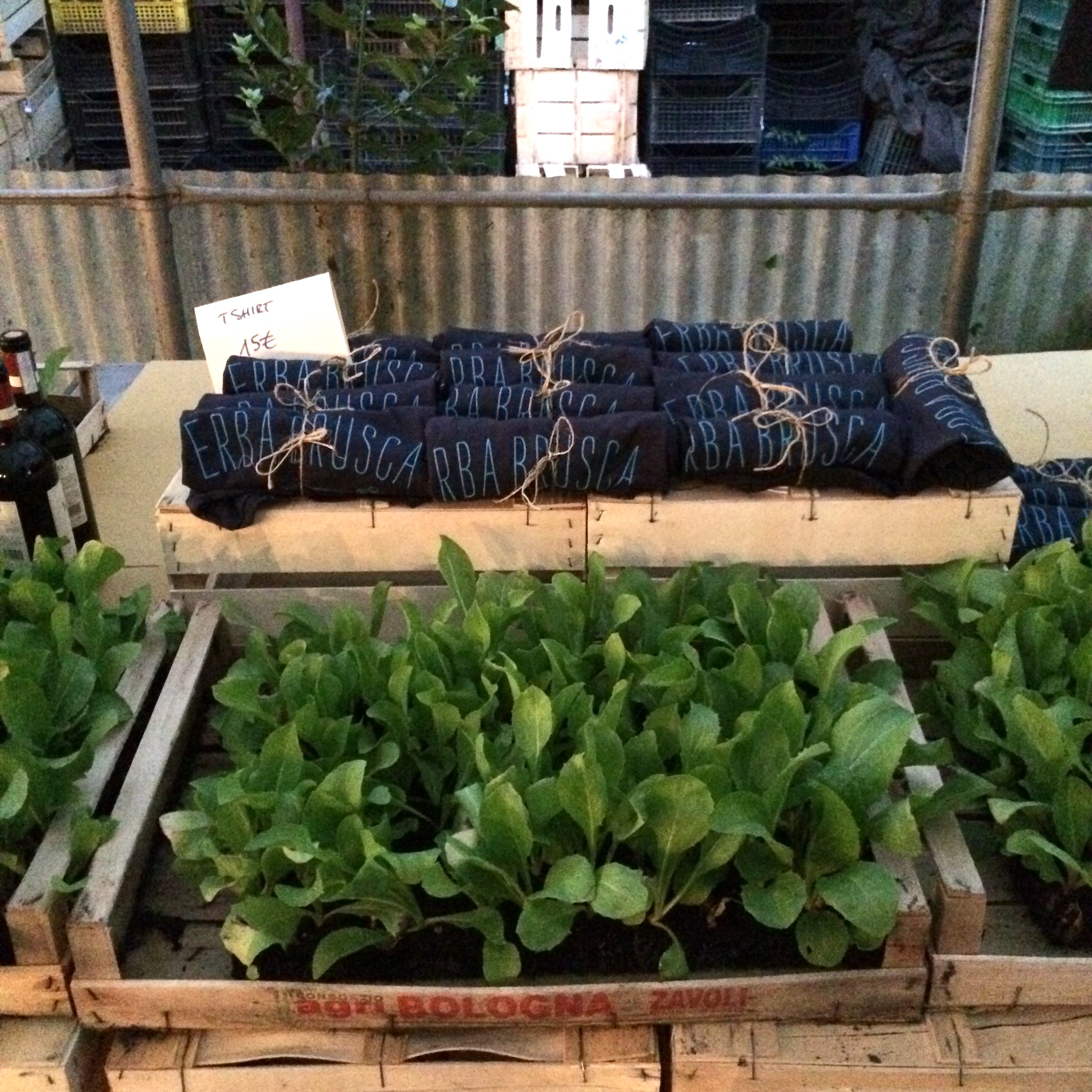 Farm to Table Dinner Erba Brusca | Nonsolofood